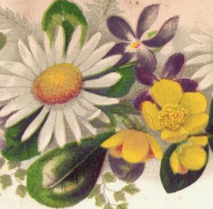 1880s Victorian Religious Card Bible Quote Daisies & Buttercup Flowers F114