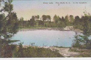 North Carolina Pine Bluff Silver Lake In The sandhills Albertype