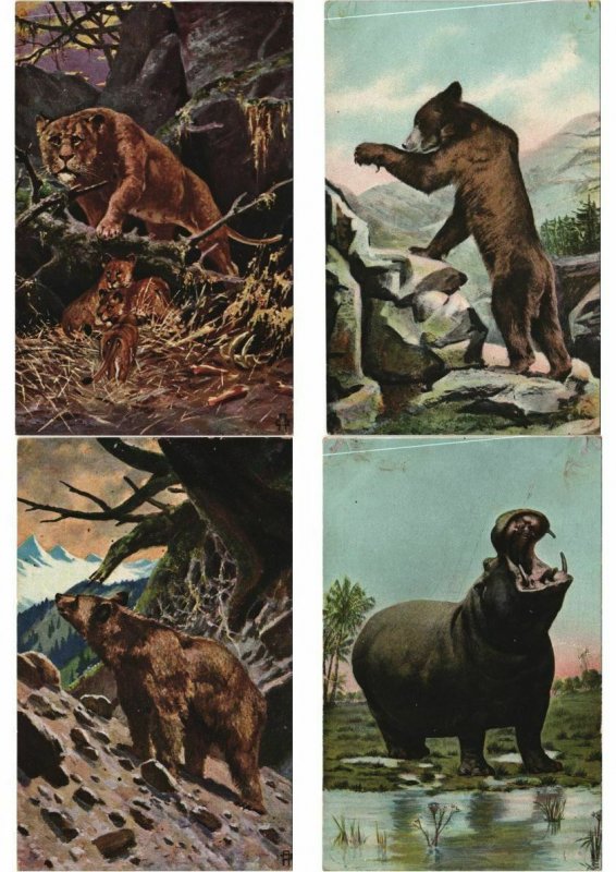 ANIMAUX ANIMALS Mostly ARTIST SIGNED ILLUSTRATEUR 60 CPA (L4538)