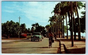 The Esplanade Bridgetown BARBADOS Postcard