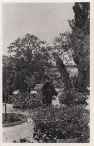 Postcard Interior Garden Gethsemane Israel