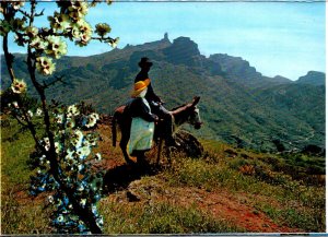 Spain Gran Canaria Tejeda Typical Scene Rogue Nublo and Bentaiga In Background