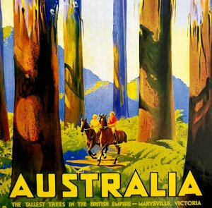 Australia Postcard Unused Unposted Trees Victoria Vintage Poster Reprint E59