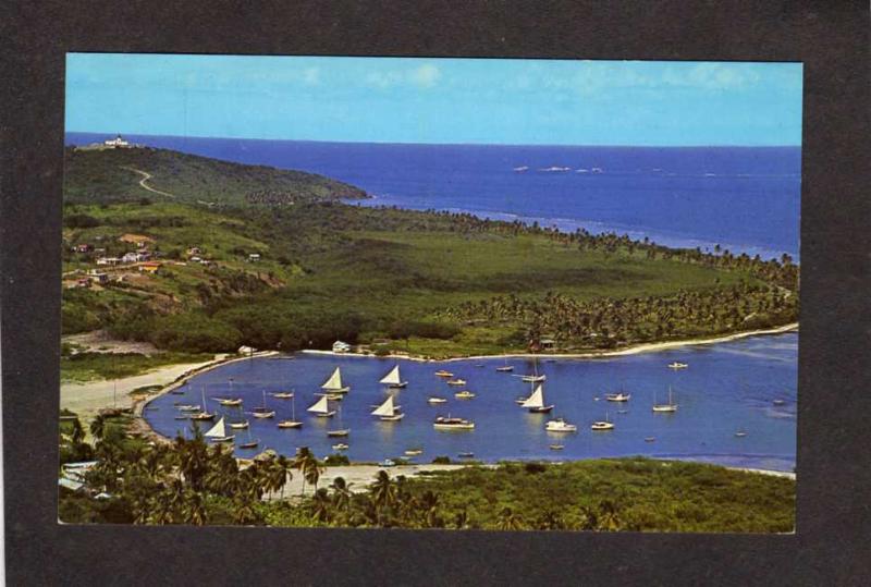 PR Las Croabas Beach Harbor Sailboats nr Fajardo Puerto Rico Postcard