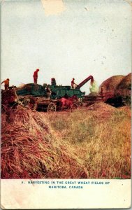 Vtg Postcard 1911 Harvesting in the Great Wheat Fields of Manitoba Canada