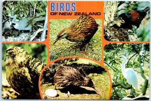 M-12761 Birds of New Zealand