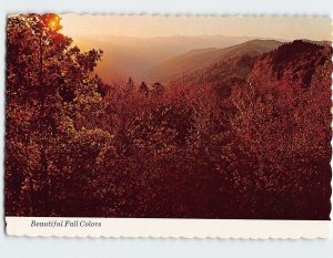 Postcard Beautiful Fall Colors from the Top of the Smokies near Newfound Gap TN