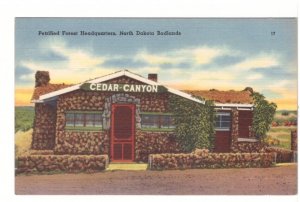 Petrified Forest Headquarters, Badlands, North Dakota Vintage Linen Postcard