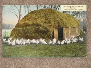 WE ALL SCRATCH FOR THE FARMER (CHICKENS), UNUSED VINTAGE CARD 