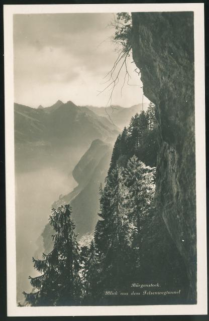 Switzerland Burgenstock View from Felsenweg tunnel Alps Vintage RP Postcard