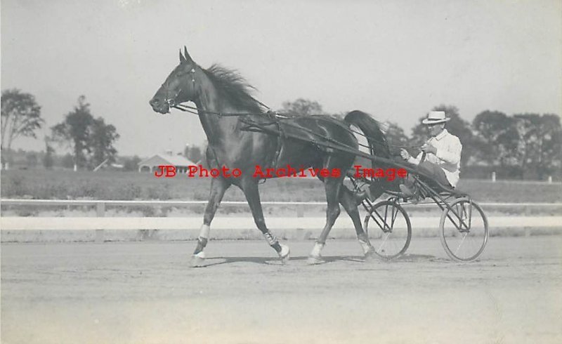 Horse Racing, RPPC, Harness Racing Sulky on Track 