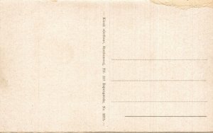 Denmark Espergaerde Strandvejen Espergærde Vintage Postcard 08.72