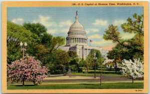 M-9198 US Capitol at Blossom Time Washington D C