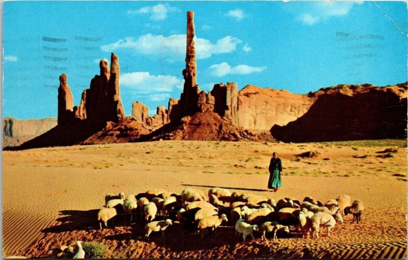 Northen Arizona Navajo Sheep Herd Desert Southwest Landscape Chrome WOB Postcard 