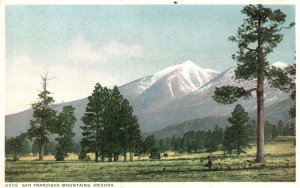 Vintage Postcard Mountains Stratovolcano Farm Trees San Francisco California CA