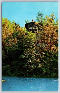 Cassville Missouri~Deer Leap In Autumn Roaring River State Park~1957 Postcard