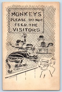 c1910's Comic Humor Monkeys Please Do Not Feed The Visitors Antique Postcard