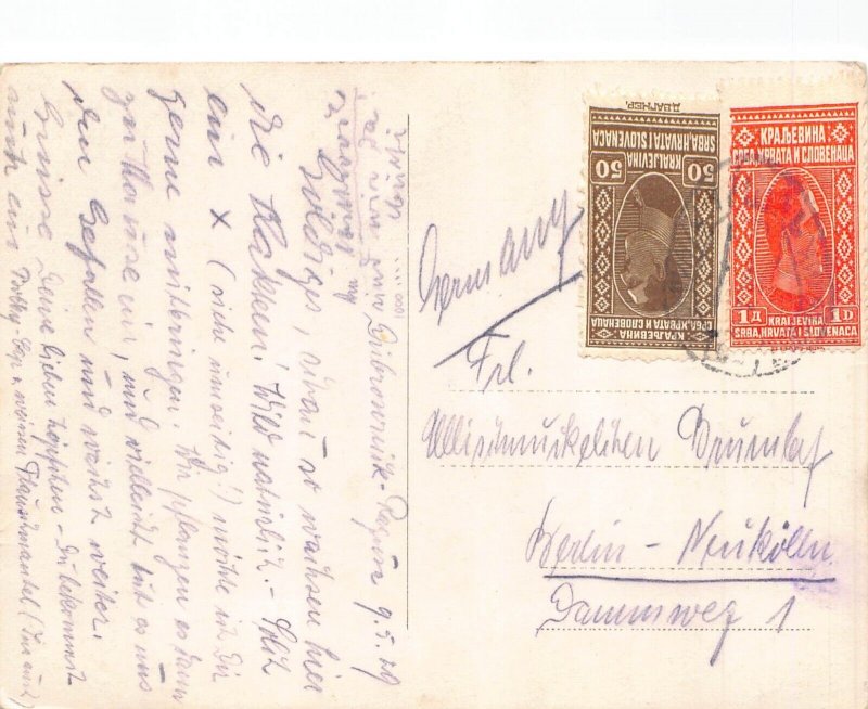 A185 Croatia 1929 Dubrovnik Boninovo Cactus Plants vintage postcard