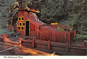 The Redwood Shoe - California