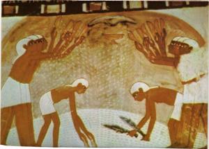 CPM EGYPTE Tomb of Noble Nakht. Girls winnowing the corn (343956)