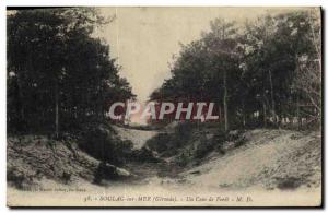 Old Postcard Soula Sea Un Coin de Foret