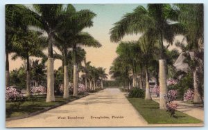 EVERGLADES, Florida FL ~ Handcolored WEST BROADWAY Street Scene  Postcard