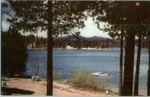 Lake Arrowhead CA Shoreline View Union Oil Scenes of the West Postcard # 27