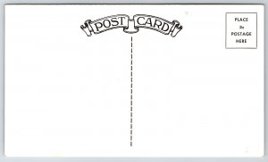 North Chicago IL~Abbott Laboratories~Aerial Main Plant~Home Office~1950s B&W PC