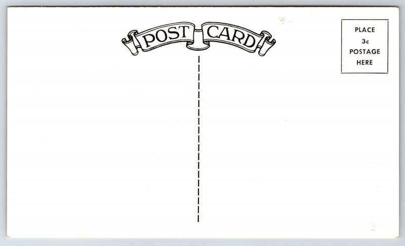 North Chicago IL~Abbott Laboratories~Aerial Main Plant~Home Office~1950s B&W PC