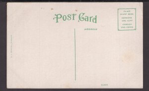 Florida - Banyan Tree ~ WB