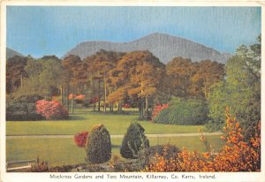 uk51836 muckross gardens torc mountain killarney kerry ireland