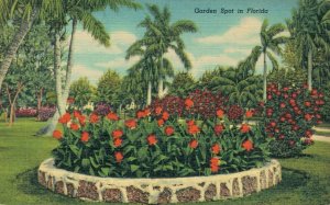USA Garden Spot in Florida Linen Postcard 03.58