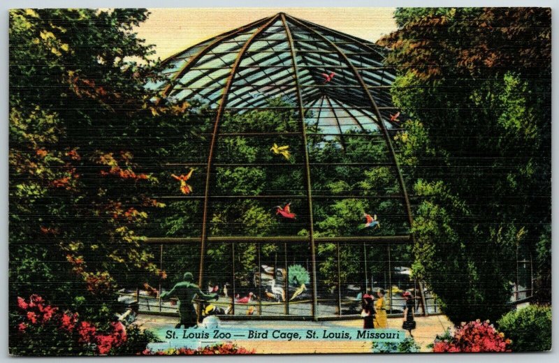 St. Louis Zoo, Bird Cage, St. Louis, Missouri - Postcard 