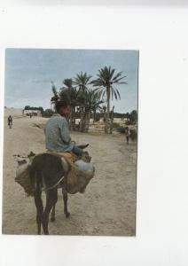 BF27915 sud tunisia kebili types donkey front/back image