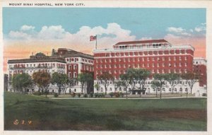 Mount Sinai Hospital New York Vintage USA American Postcard