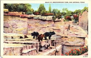 Bear Pit Breckenridge Park San Antonio Texas Vintage Linen Postcard 1933
