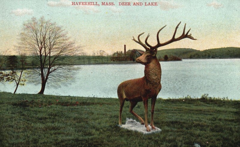 Vintage Postcard Deer and Lake Pictiresque Scene Haverhill Massachusetts MA