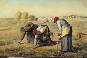 The Gleaners.by Millet Fine painting old vintage Stengel postcar # 29990