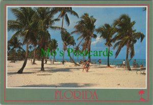 America Postcard - Beautiful Florida Beaches RRR1073