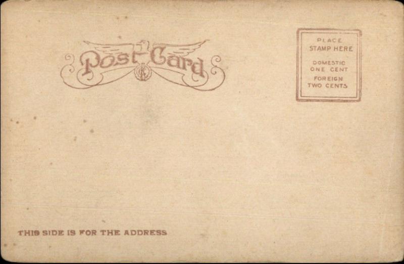 Tampa FL Yacht Flaneur c1905 Postcard