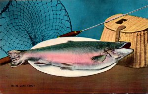 Fish Maine Lake Trout