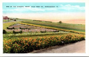 Iowa Shenandoah Henry Field Seed Company One Of The Gardens