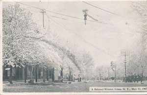 Lima NY New York - Late Season Winter Storm May 11 1907 - Note Street Light - DB