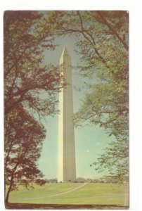 Washington Monument, Washington DC, Vintage Chrome Postcard #1