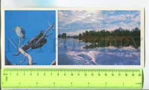481365 USSR 1976 year Astrakhan bird sanctuary publishing house Planeta postcard