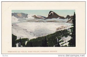 Waputekh Ice Fields, Yoho Valley, Canadian Rockies, Alberta, Canada, 1900-1910s