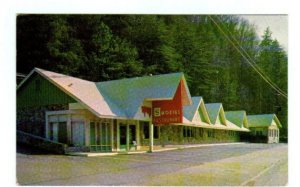 Smokies Restaurant Gatlinburg Tennessee 1966 postcard