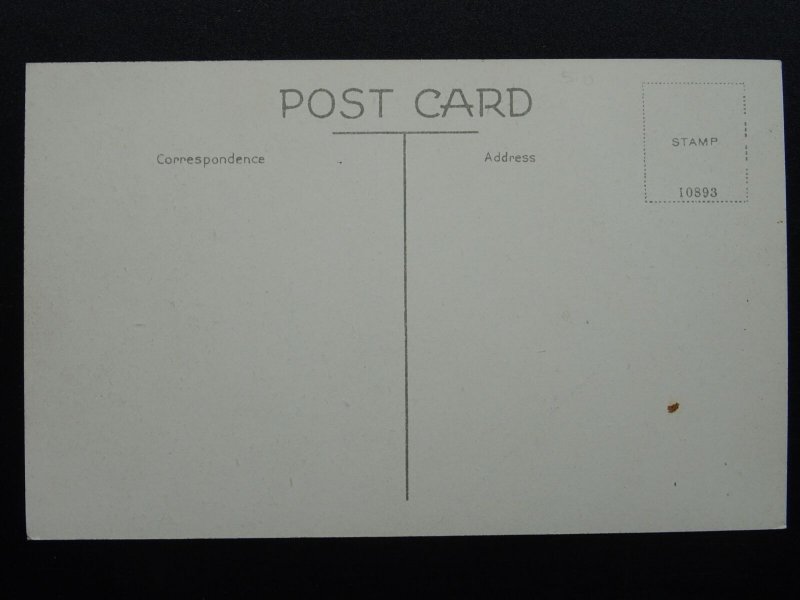 Suffolk BADINGHAM Old Rectory - Old Postcard