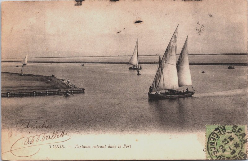 Tunisia Tunis Tartanes entrant Dans Le Port Vintage Postcard C148