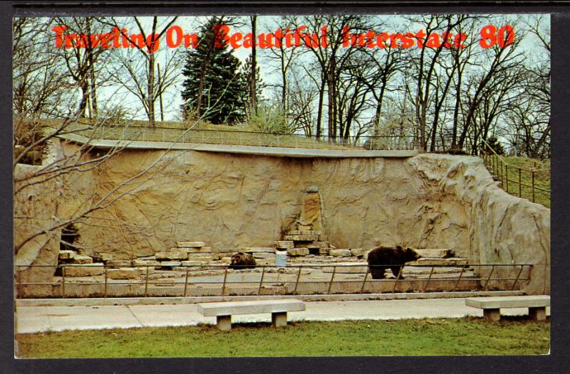 Bears,Henry Doorly Zoo,Omaha,NE